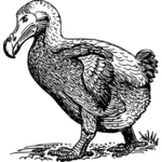 Dodo pták Vektor Klipart