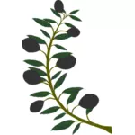 Olive branch with black olives