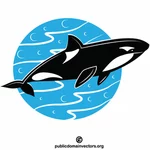 Orka zabójca wieloryba