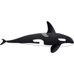 Vector afbeelding van grote orca