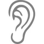 Abu-abu telinga ilustrasi
