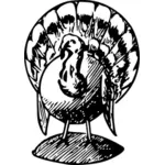 Black and white turkey vector drawing