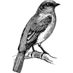 Kresba z modrého ptáka stojící na větvi