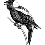 Рисовая птица векторные иллюстрации