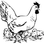 Vector drawing of chick family