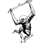Suspensão de macaco
