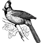 Image of long feathered bird in black and white