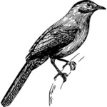 Ilustracja wektorowa z cowbird