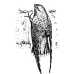 Schoorsteen swift in zwart-wit vector afbeelding