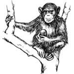 Grijswaarden chimpansee