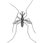 Рисование комаров