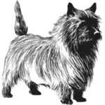 Dibujo vectorial de Cairn terrier