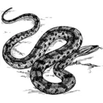 Anaconda vector miniaturi
