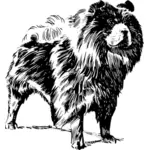 Chow Chow hond vector afbeelding