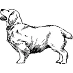 Clumber hond vectorillustratie