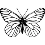 Линия искусства бабочка векторное изображение