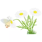 Vlinder aan een daisy vector afbeelding