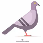 Oiseau de pigeon