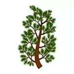 Baum Tannenzweig