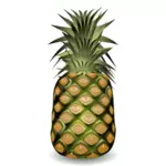 Fruit d'ananas