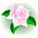 Pink rose in a frame