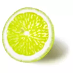 Lemon or lime vector image