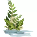 الرسومات المتجهة من اختيار النباتات في الماء
