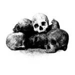 頭蓋骨の束のベクトル画像