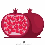 Pomegranate split in half