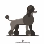 プードル犬のペット