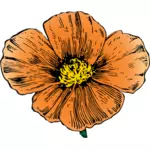 California Poppy vector image