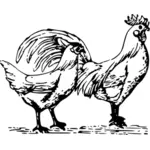 Coppia di pollame
