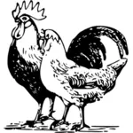 Fjäderfä ritning