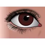Gerçekçi kahverengi göz