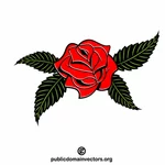 Rød rose blomst plante