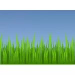 緑の草のベクトル描画