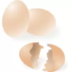 Dibujo vectorial de la cáscara de huevo roto y todo
