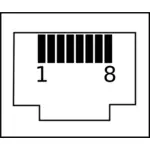 Immagine vettoriale di connectorRJ45 di pin RJ45 con numeri pin