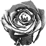 Clip art of monotone rose drawn by sprya