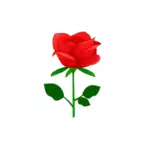 Mawar merah