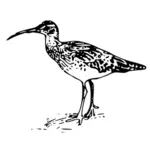 Fuglen vector illustrasjon