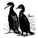 Grafika wektorowa kormorany