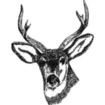 Głowa jelenia z rogami wektor wyobrażenie o osobie