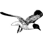 Laughing gull vector clip art
