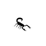 Scorpion afbeelding