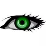 Donkere groene ogen vector afbeelding