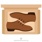 Schuhe in einer Box