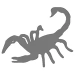 Scorpion siluett bild