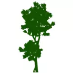 लंबा पेड़ छवि