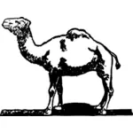 Свободной рукой рисования верблюда
